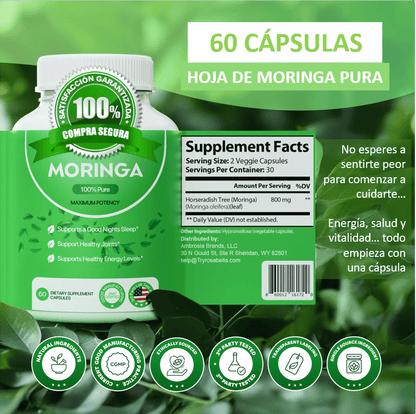 🌿 MoringaBoost™ El Superalimento que tu cuerpo estaba pidiendo