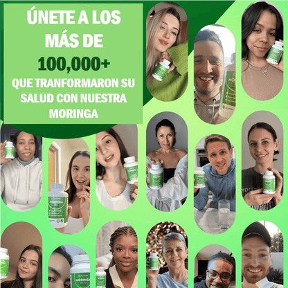 🌿 MoringaBoost™ El Superalimento que tu cuerpo estaba pidiendo