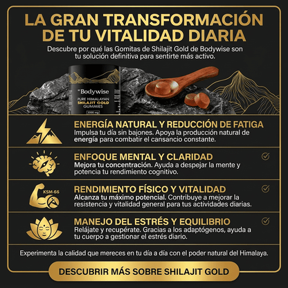 🔥💪 Shilajit Gummies™ ⚡ Recupera tu resistencia, vitalidad y enfoque…
